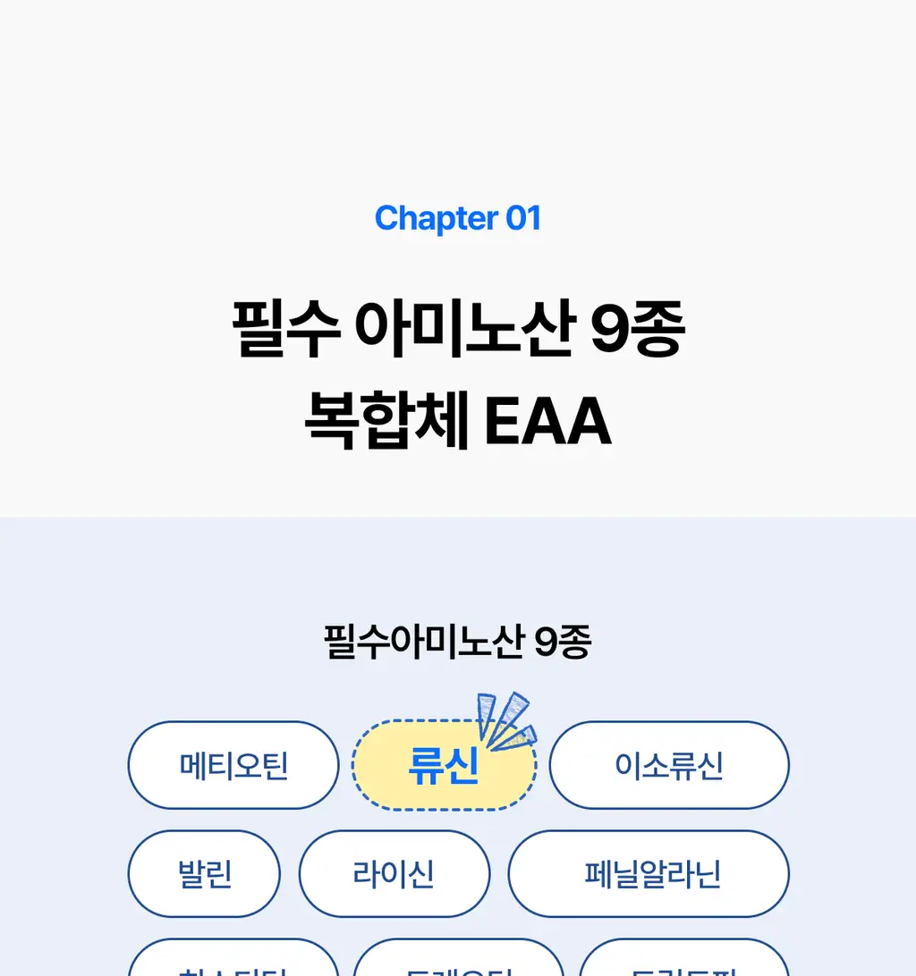 [필수 아미노산 9종/상큼사과맛] 얼티밋포텐셜 EAA 300g 상세페이지 7